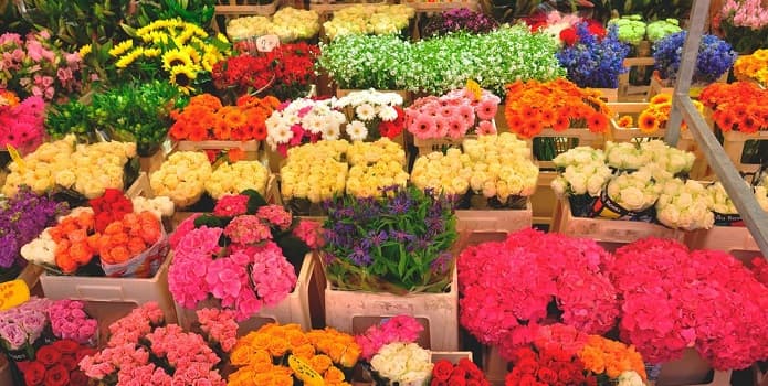 Qualities of a Professional Flower Store