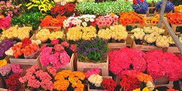 Qualities of a Professional Flower Store